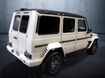 Mercedes-Benz G-Class by Mansory 2011 года